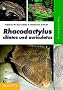 Rhacodactylus ciliatus und auriculatus: Pflege und Vermehrung