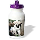 Dogs Labrador Retriever - Cute Yellow Lab Puppy - Water Bottles