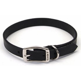 Circle T Black Oak Leather Dog Collar - 22 in. with a Width of 1 in.