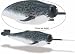 Monterey Bay: Narwhal