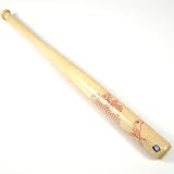 ST. LOUIS CARDINALS OFFICIAL TEAM LOGO 18 MINI BASEBALL BAT