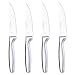 Gourmet Settings Stainless-Steel Steak Knives, Set of 4