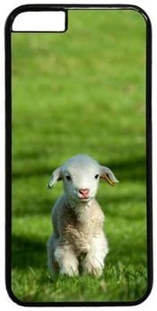 iCustomonline Adorable Baby Goat Case for iPhone 6 Plus(5.5") PC Material Black-Fits iPhone 6 Plus(5.5") T-Mobile,AT&T,Sprint,Verizon and International