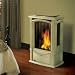 Napoleon GDS26 Castlemore GDS26 Gas Stove - GDS26