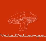 Cafe Tacuba -  Vale Callampa (Dig)
