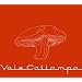 Vale Callampa