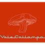 Vale Callampa (Dig)