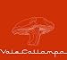 Cafe Tacuba - Vale Callampa (Dig)