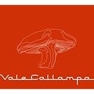 Vale Callampa