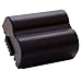 Rechargeable Battery for Panasonic Lumix DMC-FZ30 digital camera/camcorder