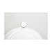 2.5 Gallon Porcelain Grape Water Crock with Lid - Beautiful Design