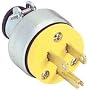 AC Plug 3 Conductor