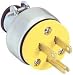 AC Plug 3 Conductor