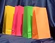 Paper Favor Treat Goody Luau Party Gift Bags - Neon Colors Assorted (10 Bags)