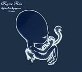 CD Cover