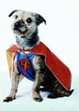 Superdog Costume - Large