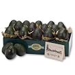 California Fresh Avocados - Fruit Gift Basket