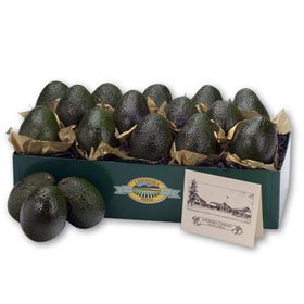 California Fresh Avocados - Fruit Gift Basket