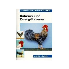 Italiener und Zwerg-Italiener