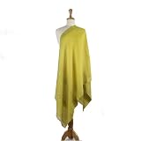 Olive N Figs 100% Pashmina Wool Lime Green Shawl/Wrap with Floral Ari Embroidery Work