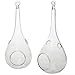 Best Value! Hanging Teardrop Terrarium Variety 3 Pack! Small 5.5