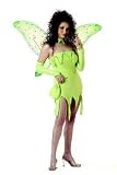 Lady Emerald Fairy Costume - Scalloped Hem is Short! (See Sizing Notes)