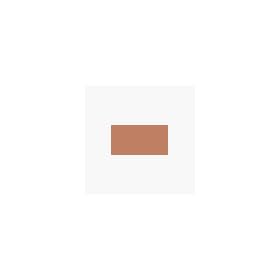 Trucco Matte Identity Lipstick Flesh 3