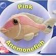 Seapals - Pink Anemonefish