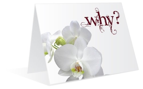 Why? Because I was a Jerk Apology Greeting Cards for Men MMBC32