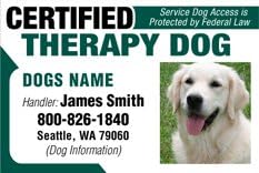 Dean & Tyler CERTIFIED THERAPY DOG ID Badge - 1 Dog's Custom ID Badge - Design#5- Horizontal.