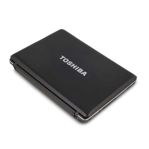 Toshiba Satellite T115D-S1120 LED TruBrite Best On Line Price