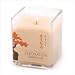 Sunrise Creek Zenovation Botanical Candle-Ginger Lemon Grass