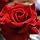 ���������Łs��וc�tʲ��د�ޥè��y12����{�`���������z