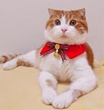 キャットプリン　お嬢様ブラウス　パーティベル