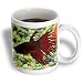 Rebecca Anne Grant Photography Fish - Betta Fish - Mugs