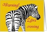For ex boyfriend, Happy Birthday Warning Zebra crossing. Card