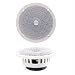 GPS Review : DC Gold 514 5-1/4' Classic Series Speaker - White - 4 OHM