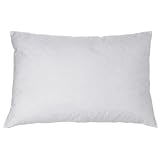 Cannon Quilted Feather Pillow - Standard