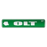  OLT ST  STREET SIGN CITY ROMANIA