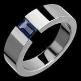 Elva Titanium Ring with Tension Set Iolite