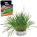 Pet Supplies : Four Paws Vita-Greens