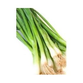 Bunching Onion Scallion Tokyo Long White Heirloom Seeds 500 Seeds