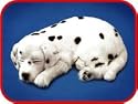 PERFECT PETZZZ DALMATION PUPPY