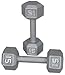 Pair 15 Lb. Cast Iron Hex Dumbbells