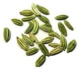 Fennel Seeds 5 Pounds Bulk