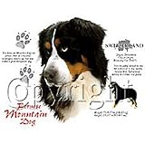Bernese Mountain Dog Adult T-Shirt
