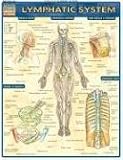 Lymphatic System Laminated Reference Guide (Medical Series)
