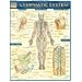 Lymphatic System Laminated Reference Guide (Medical Series)
