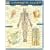 Lymphatic System Laminated Reference Guide (Medical Series)