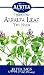 Alfalfa Leaf Tea - 30 - Bag